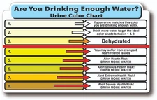 URINE COLOR CHART HYDRATION HIGH QUALITY WATERPROOF GLOSS UV DECAL STICKER