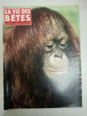 VELO 1986 - 12 - N°216 decembre 1986