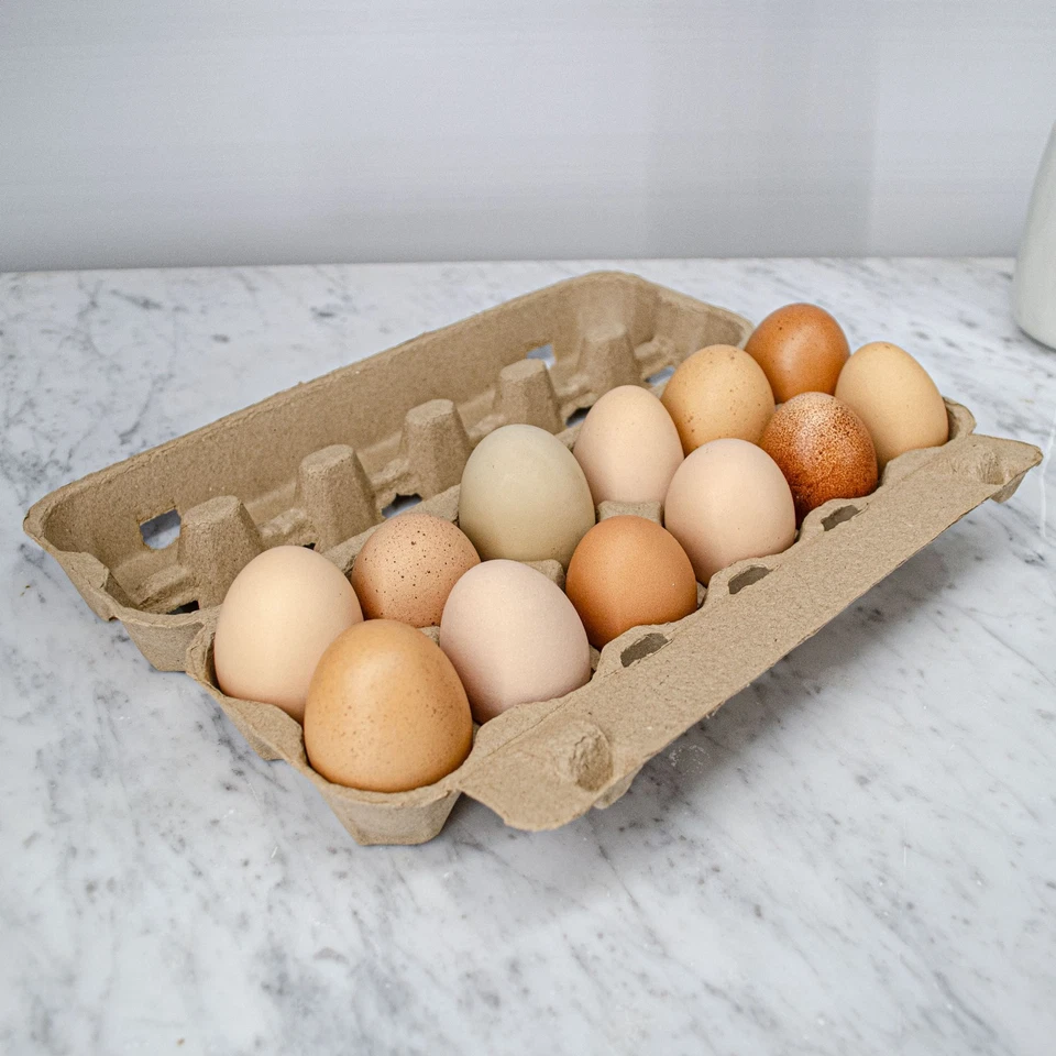 Paper Pulp Egg Carton- 25 Pack - Image 2 of 3