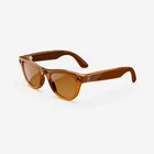 Refurbished Ray-Ban Meta Skyler (Gen 1), Shiny Caramel Transparent / Brown, Stan
