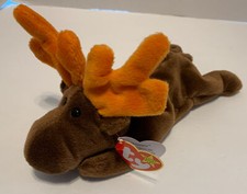 Chocolate Moose Elk beanie baby ty Original tag no creases Brown Stuffed Animal