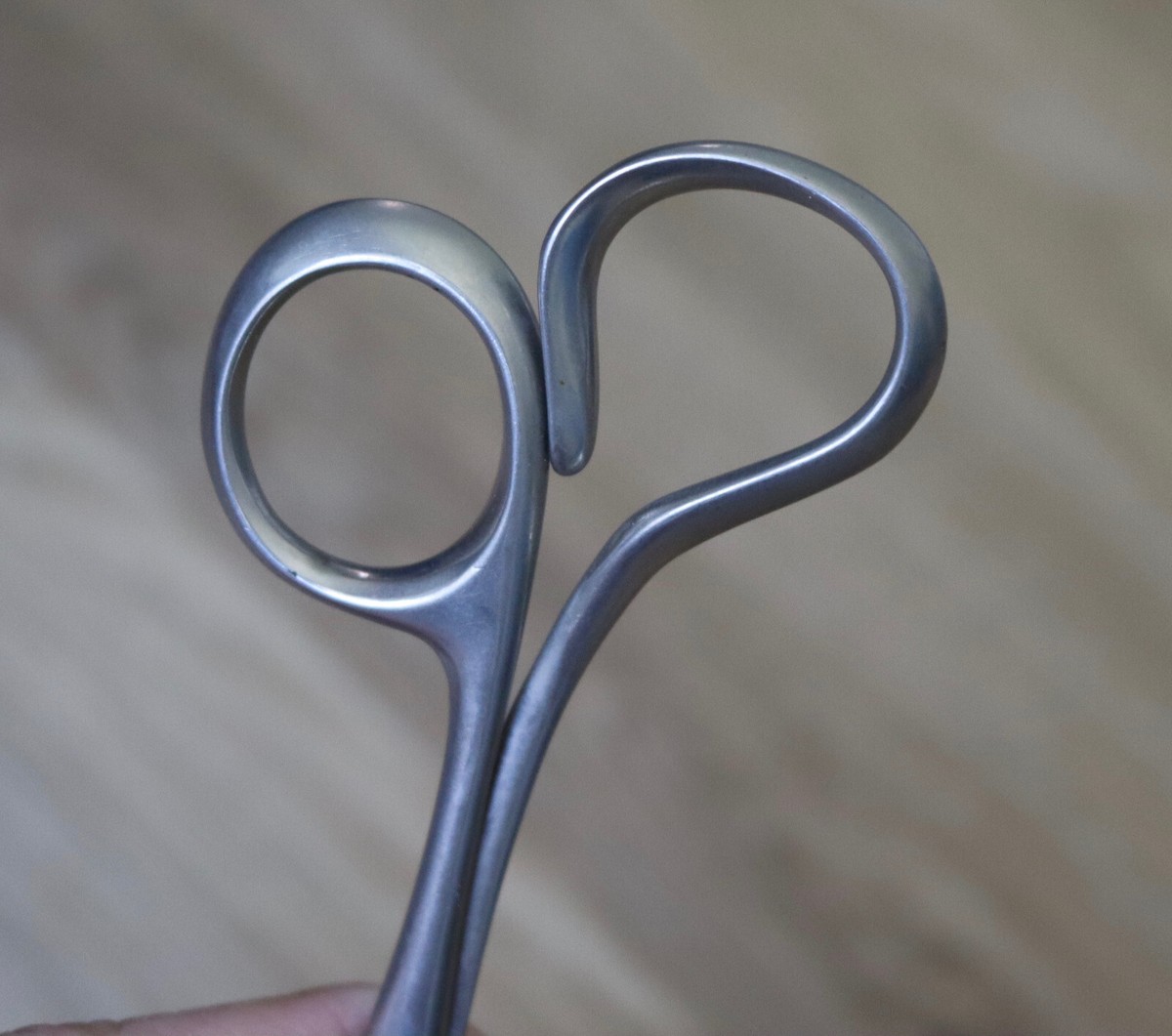 Original Antonia Campi Neto Scissors Italian Italy Mid-Century
