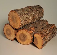 Sassafras Smoking Wood, grilling, smoking, outdoor cooking, flavorful, exotic