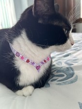 Cute Pet Kitten Small Puppy Necklace Collar Jewelry X Small For Kittens