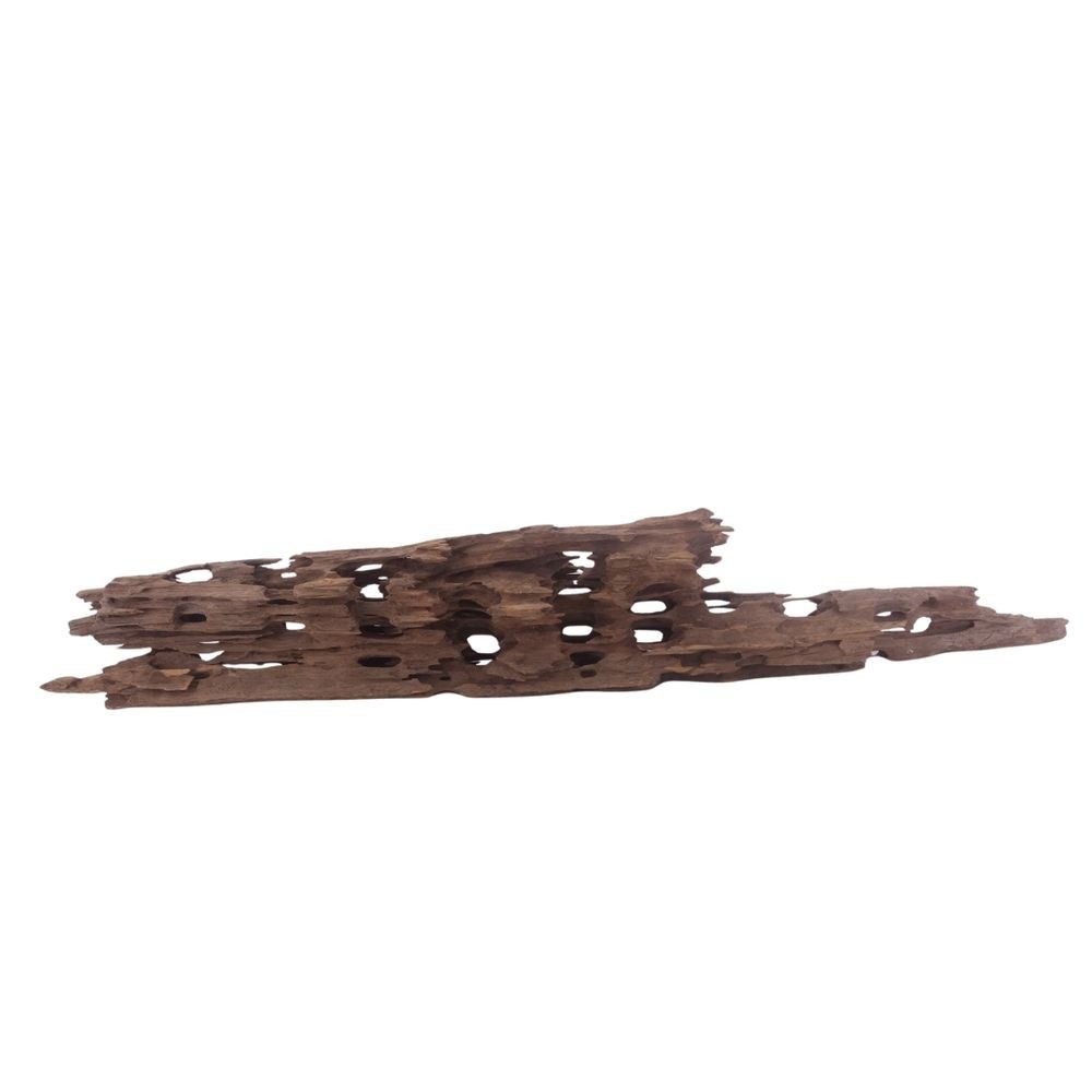 XL Honey Comb Radice Nr.3046 Acquario Mangrovie Decorazione Legno Aquascaping