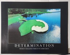 Motivational Poster "Determination"