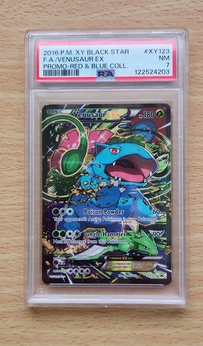 Venusaur EX XY123 XY Holo PSA 7 Black Star Promo