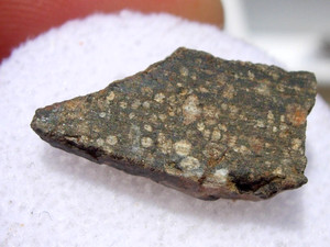 1.37 gram NWA 12322 Meteorite Carbonaceous chondrite (CV3) fragment with a COA