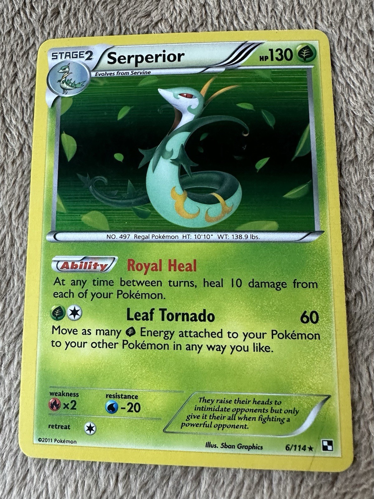 2011 Pokémon TCG Black & White Serperior Holo Rare 6/114 LP