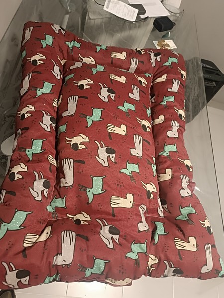cama perro
