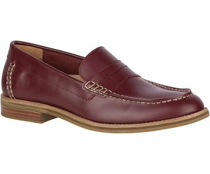 burgundy sperrys