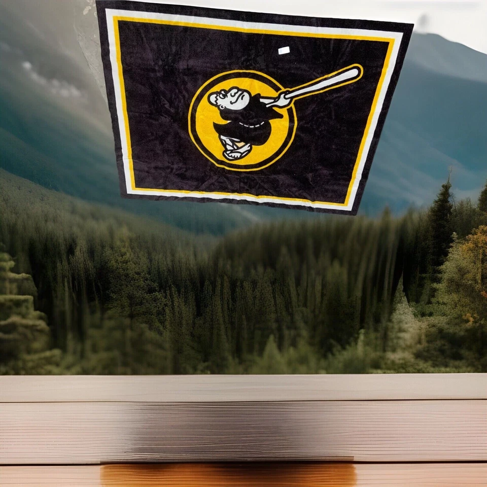 San Diego Padres 8ft. x 10ft. Plush Area Rug (NEW) - Image 2 of 4