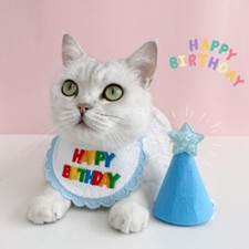 2PCS Pet Birthday Party Decors Hat Bib Sets Embroidered Cute Dog Cat Accessories