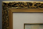 Foto 5 di 12