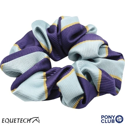 Pony Club Scrunchie Official Pony Club Members Hair Scrunchie Elasticated - Bild 1 von 4