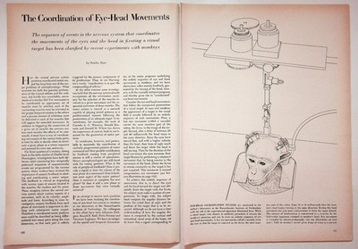 Vintage Scientific Publication Article Eye-Head Movement Neuroscience Journal Ad