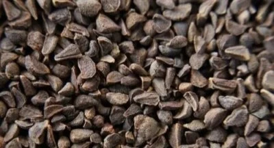 Natural Organic Harmala Seeds Wild Rue Natural Herb Pure 50gram حرمل بذور الحرمل