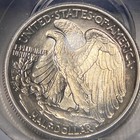 Foto 16 di 24