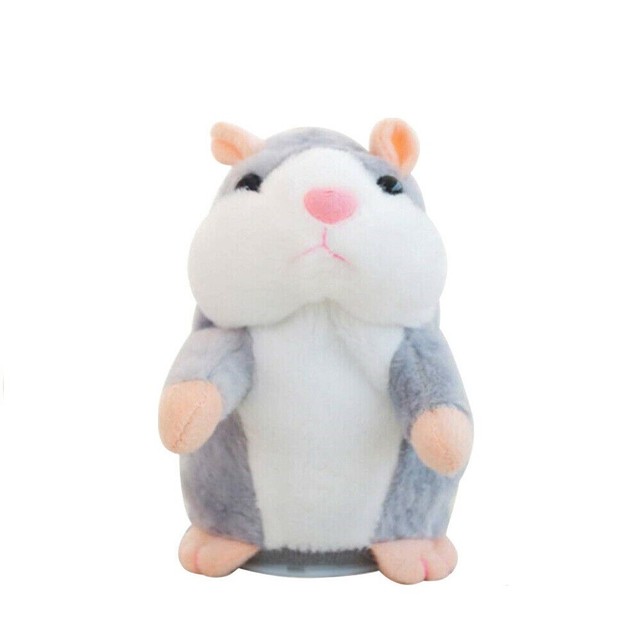 talking pet hamster