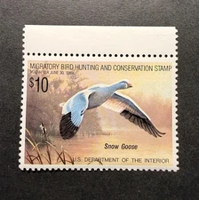 WTDstamps - #RW55 1988 - US Federal Duck Stamp - Mint OG NH **WELL CENTERED**