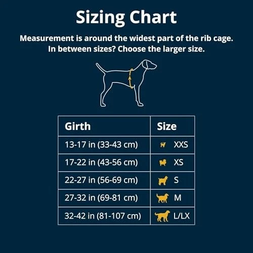 , Flagline Dog Harness, Lightweight and Reflective, Large/X-Large Basalt Gray - Image 2 of 4