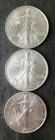 2005, 2005, and 2006 $1 American Silver Eagle Dollars