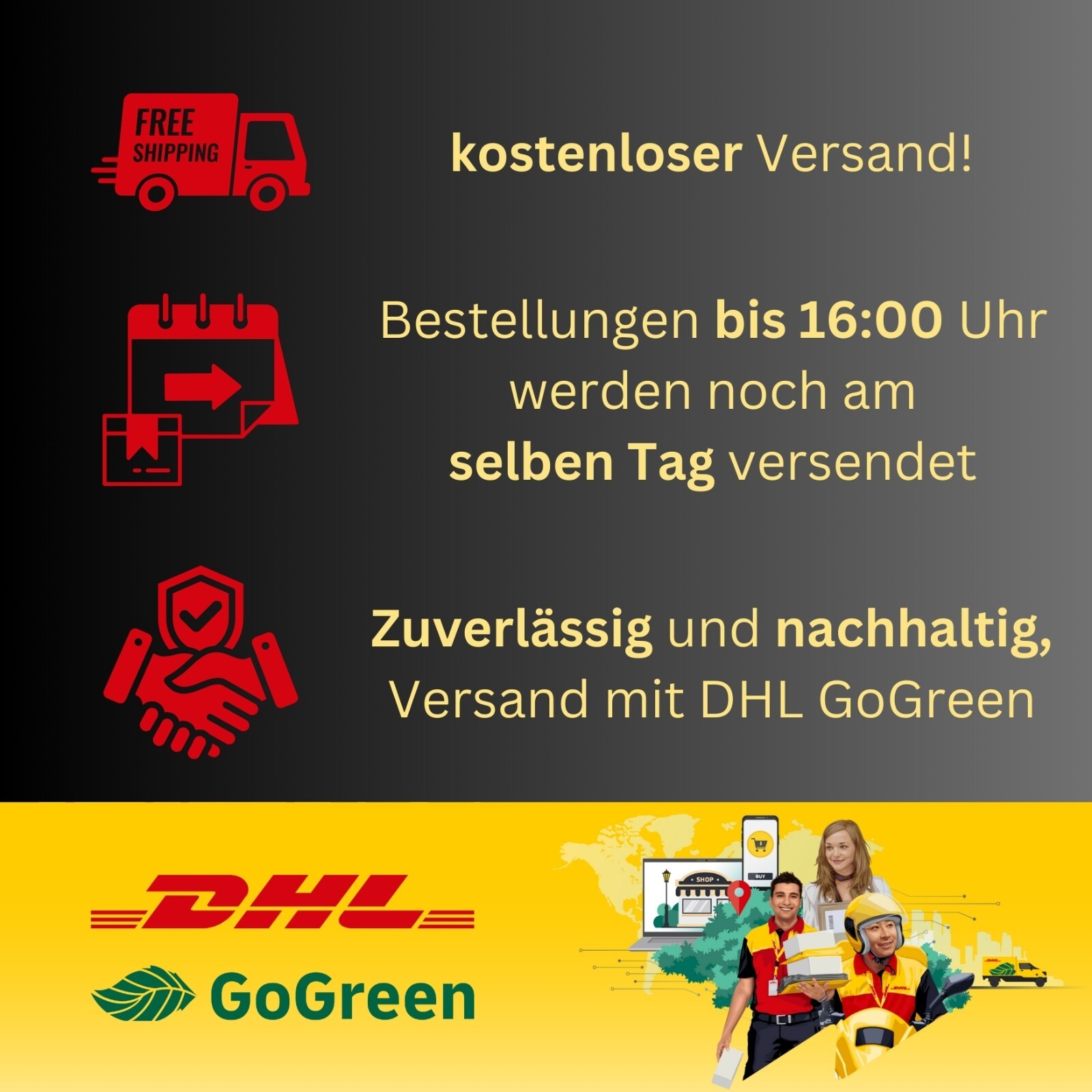 Bild 8 von 11