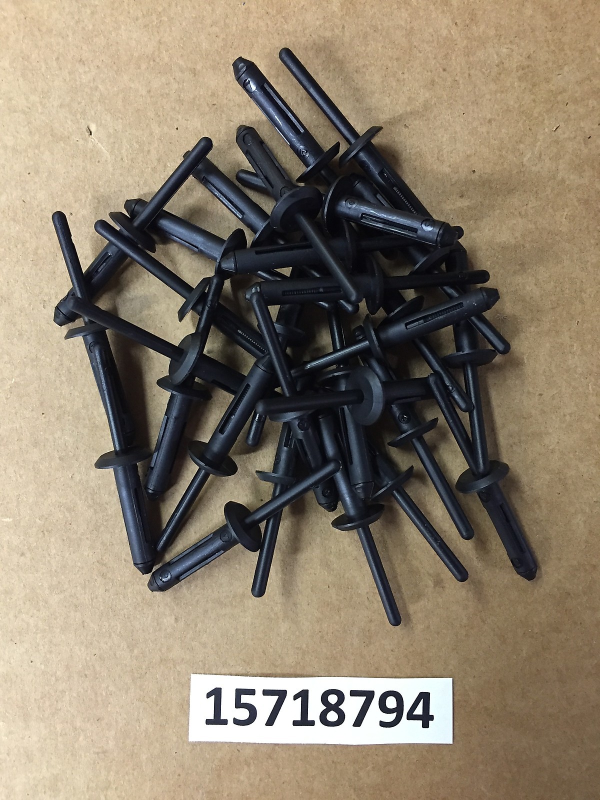 Set of 15: Nylon Blind Rivets For GM Chevy GMC Cadillac Olds 15718794 ...
