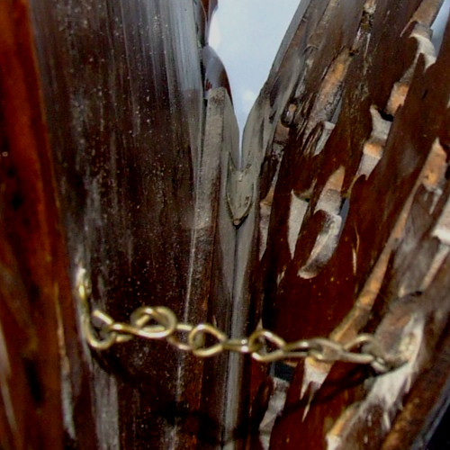 Antique 1890 Victorian Carved Black Forest Wall Letter Holder ~ Ornate Design ~