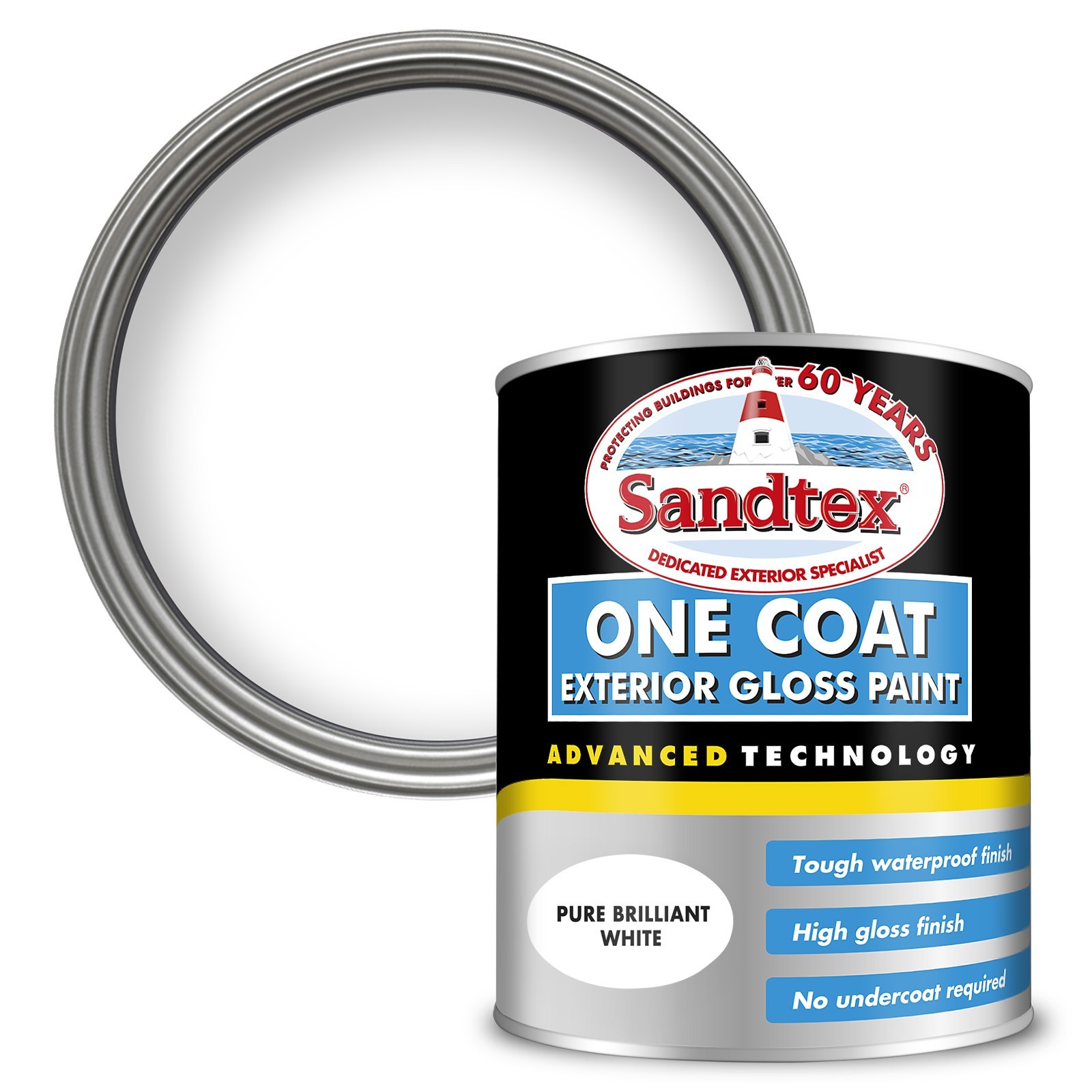 Exterior Paint - Sandtex One Coat Exterior Gloss Paint Brilliant White 750ml