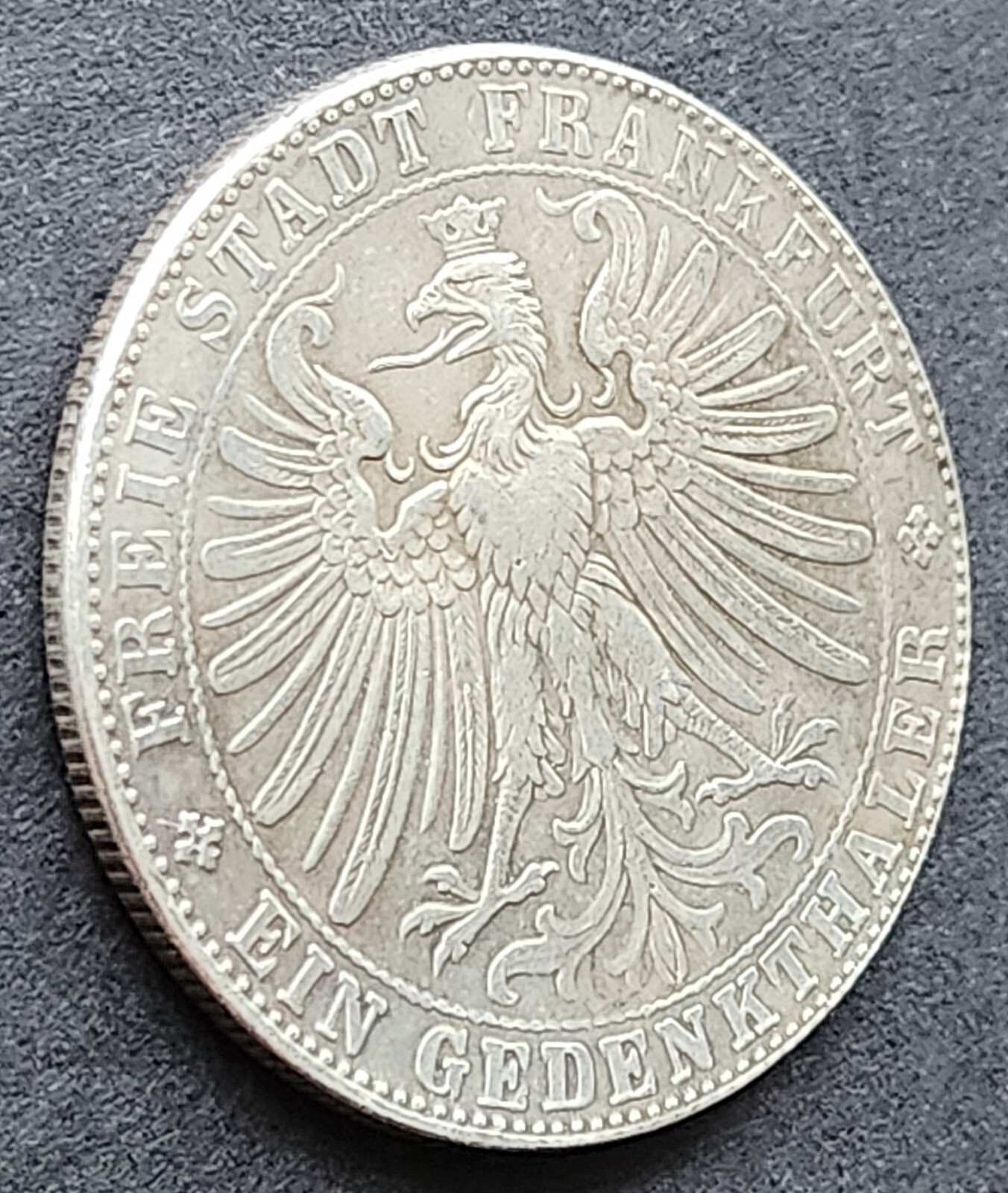 Picture 4 of 15