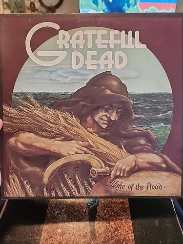 Grateful Dead Wake of The Flood Vinyl LP Record Album 1973 Warner Bros.Excellent