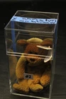 Ty Beanie Baby Curly The Bear with  Vintage Retired Tag in plastic 1996