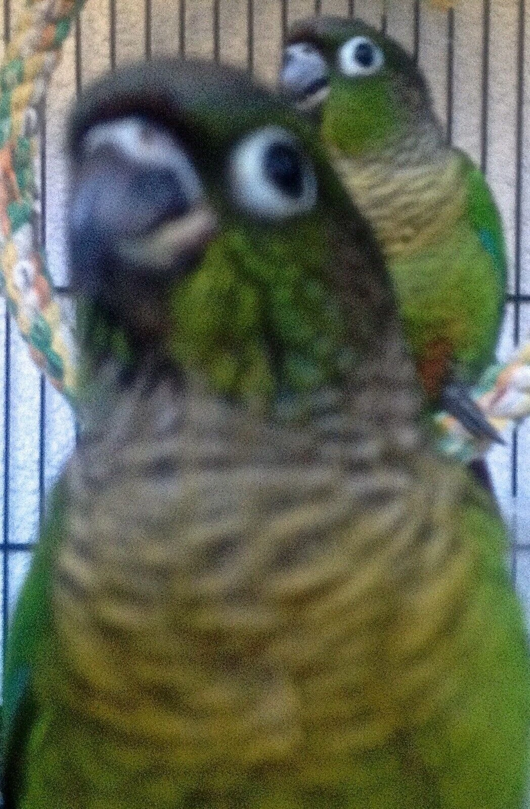 Picture 6 of 12