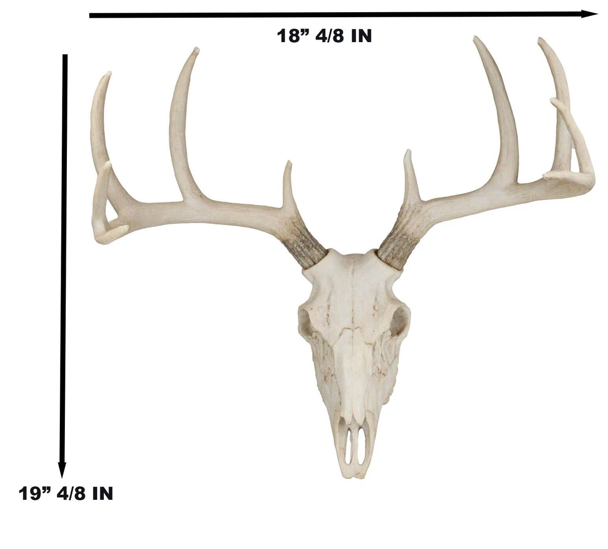 Large Buck Head Wall Mount Deer Skull Antler Rack Bust Hunting Cabin or  Lodge