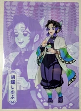 Demon Slaye :Kimetsu No Yaiba Plastic File Folder, Limited Edition, SHINOBU, A4