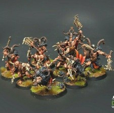 Untamed Beasts Warcry warband ** COMMISSION ** pro painting