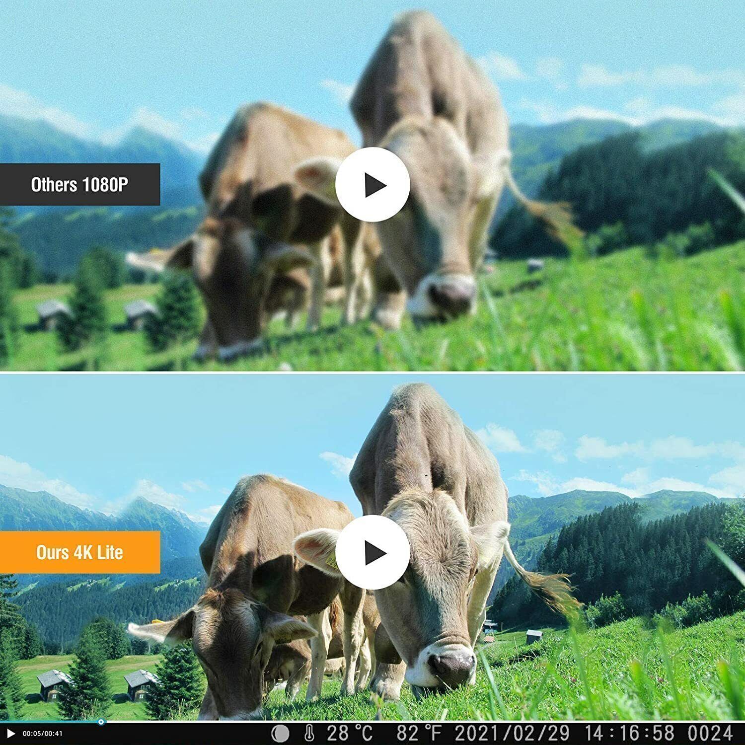 2 Pack Outdoor Game & Deer Trail Camera 36MP 2.7K No Glow Night Vision Cam 120°