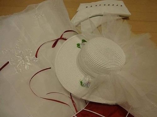 Costume Halloween Miele Segreto Disney Mary Poppins Vestito Donna Giappone - Foto 3 di 7