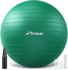Exercise Ball for Physical Therapy, Swiss Bal...