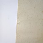Bild 10 von 11