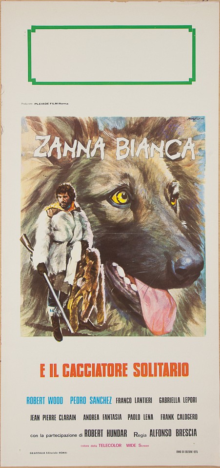 Locandina di Zanna Bianca e il cacciatore solitario (1975)