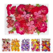 35PCS Real Dried Flowers Pressed Leaves for Epoxy Resin DIY Jewelry Making