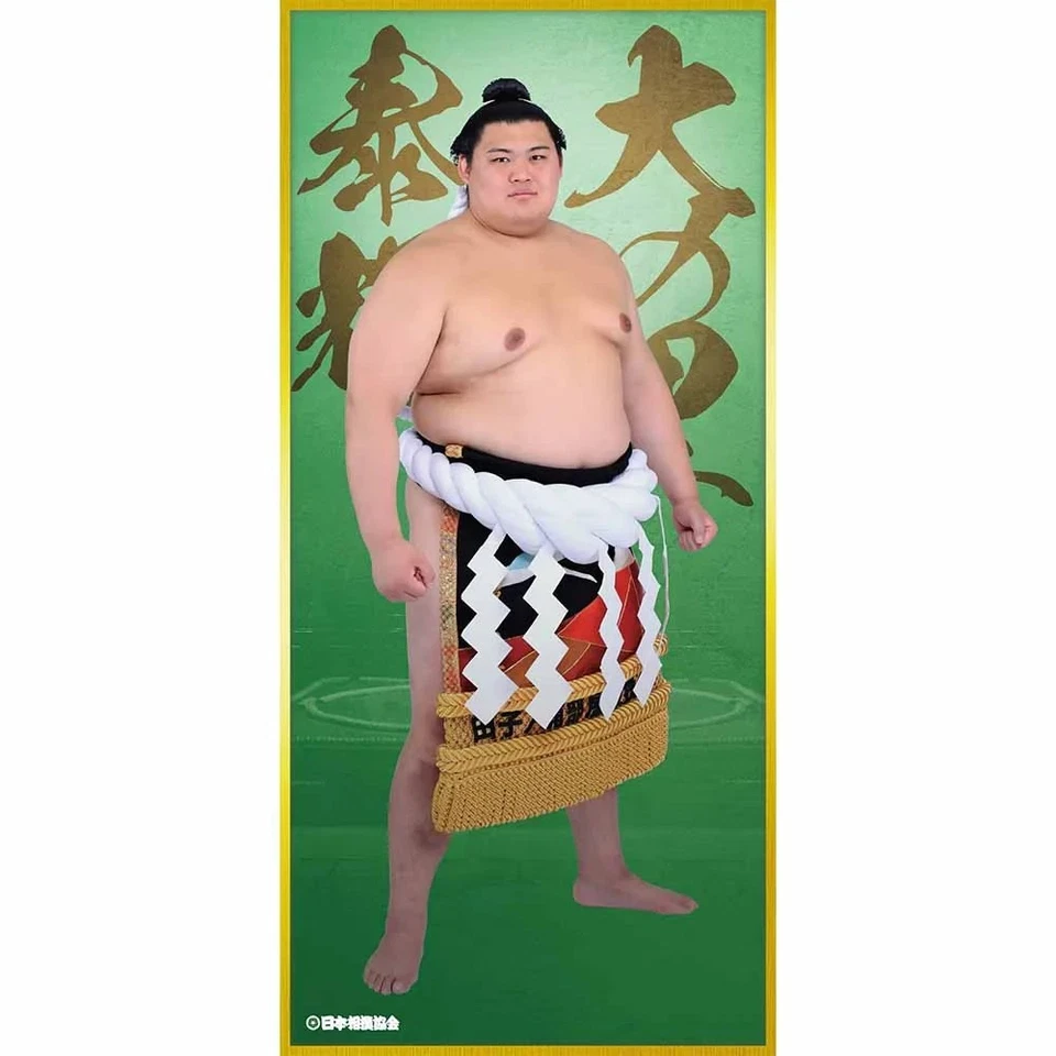 Affiche PSL Onosato Sumo Wrestler grande taille cadeau nouveau Japon... - Photo 1/1