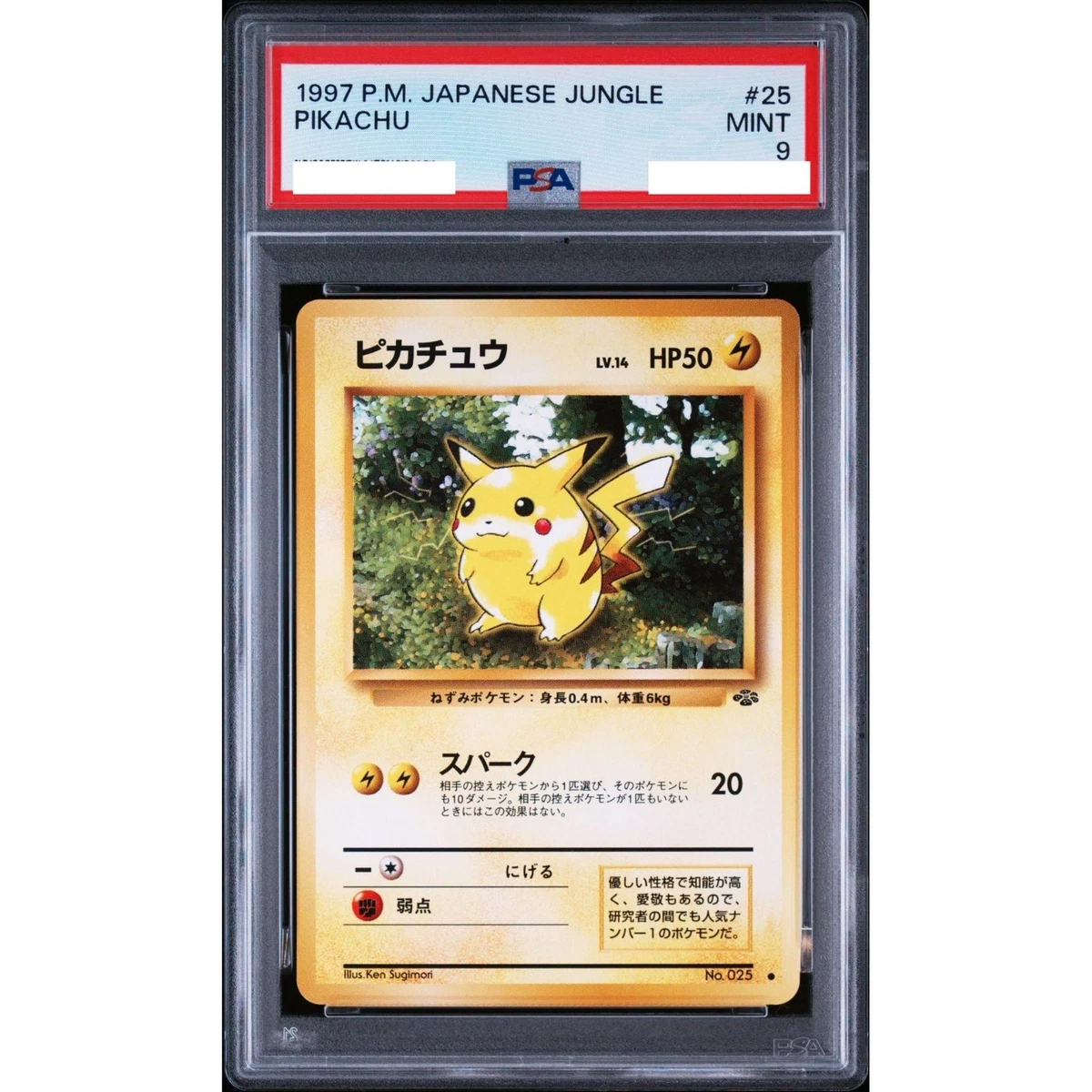 皮卡丘口袋妖怪TCG 9 级丛林个人收藏卡牌游戏卡| eBay