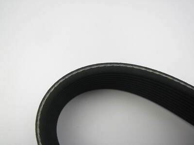 Dayco 10PK1620 Serpentine Belt - 36mm X 1620mm - 10 Ribs | eBay