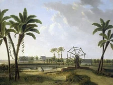 View of the oasis palm trees W. Klerk Tile Mural Wall Backsplash Marble Ceramic