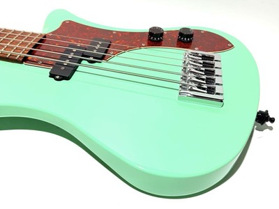 Ryoga SKATER A-501 SP 5-string bass Safe Packing! | eBay