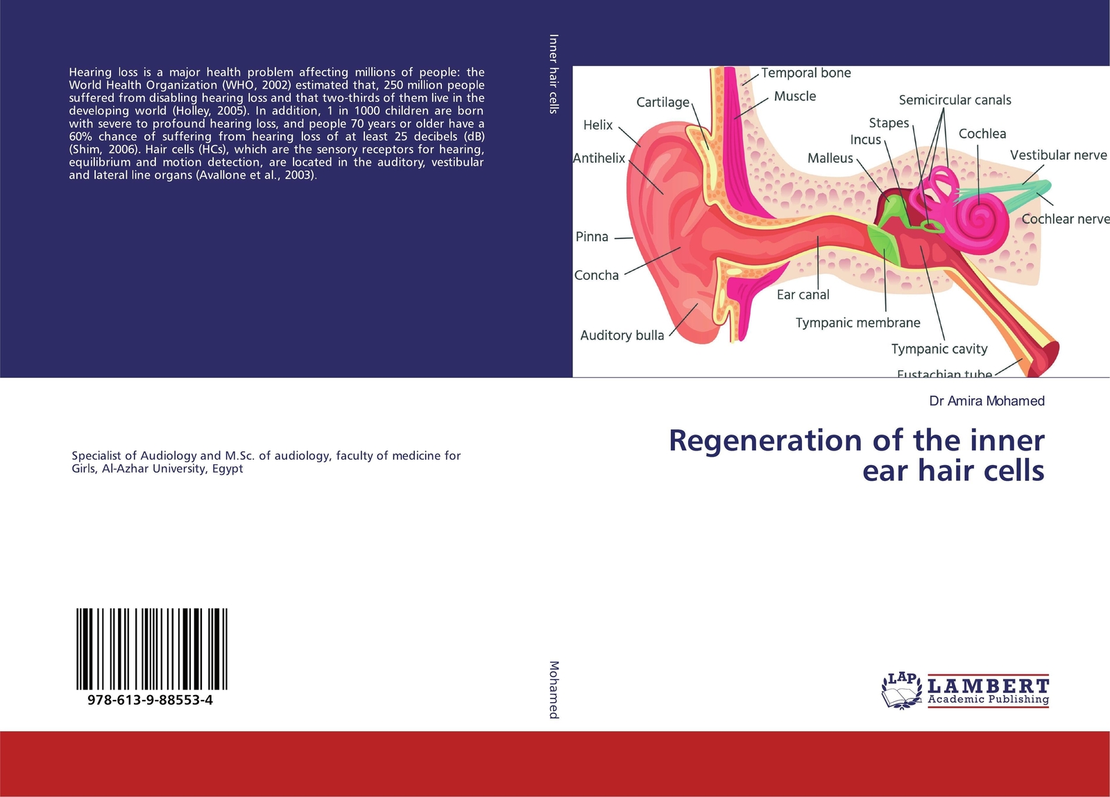 Thumbnail - Regeneration Of The Inner Ear Hair Cells Amira Mohamed Taschenbuch