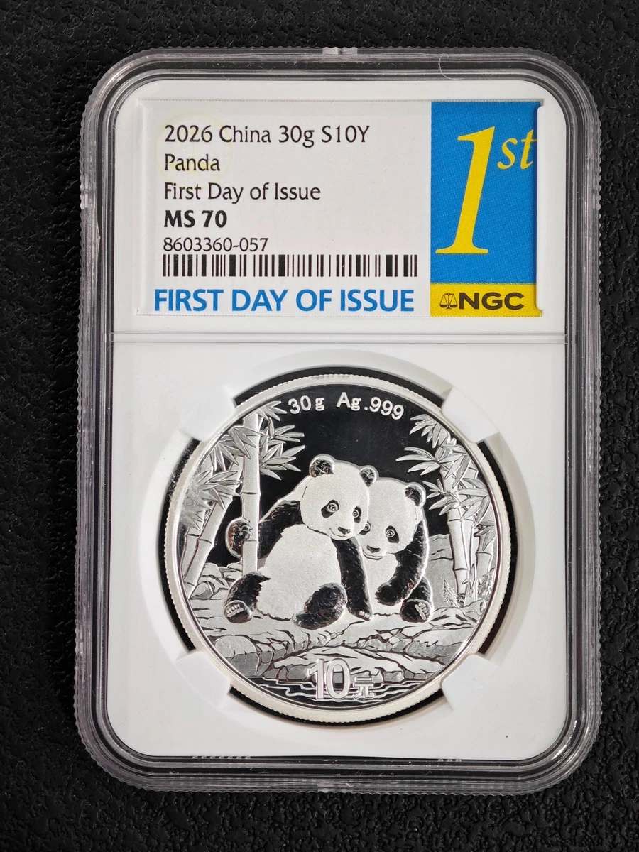 银色中国硬币| eBay